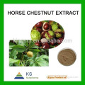 Manufacturer supply Pure Natural horse chestnut extract Aescins 20%